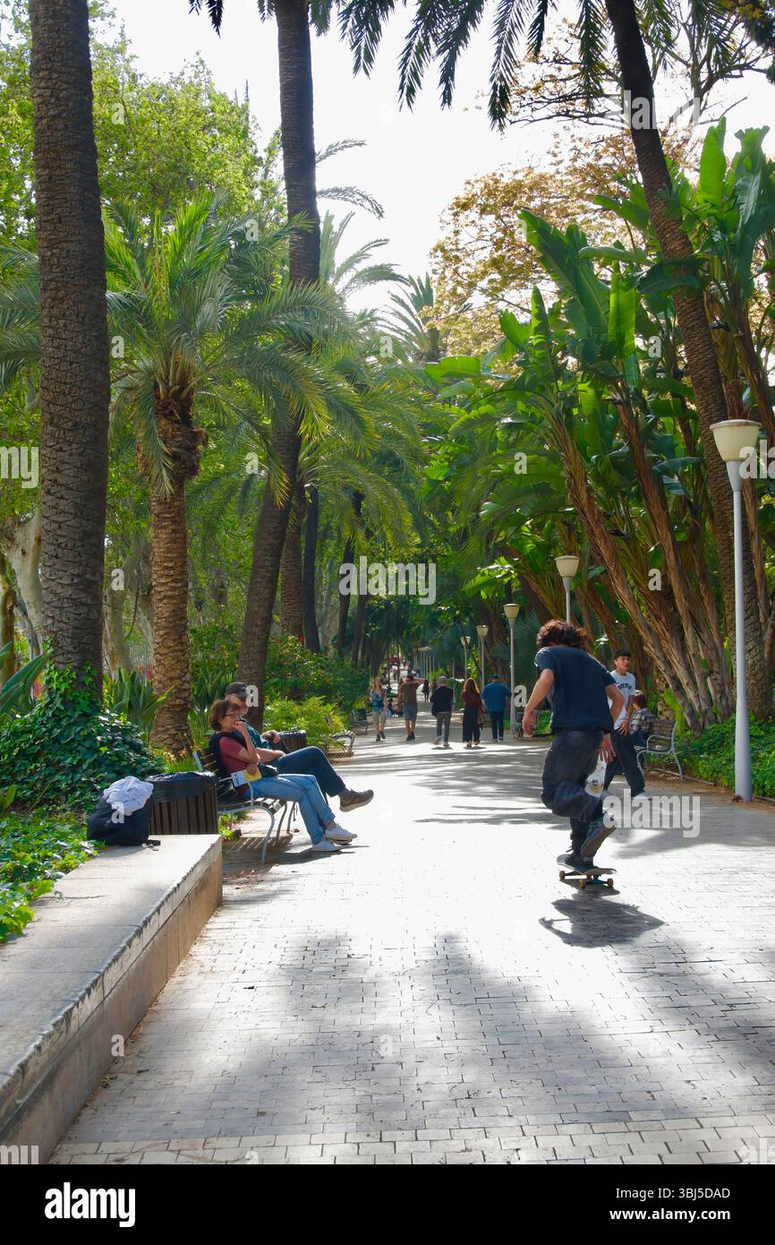A skateboarder passing between people on a palm tree lined path through a park in Malaga Andalusia Spain Europe Stock Photo
