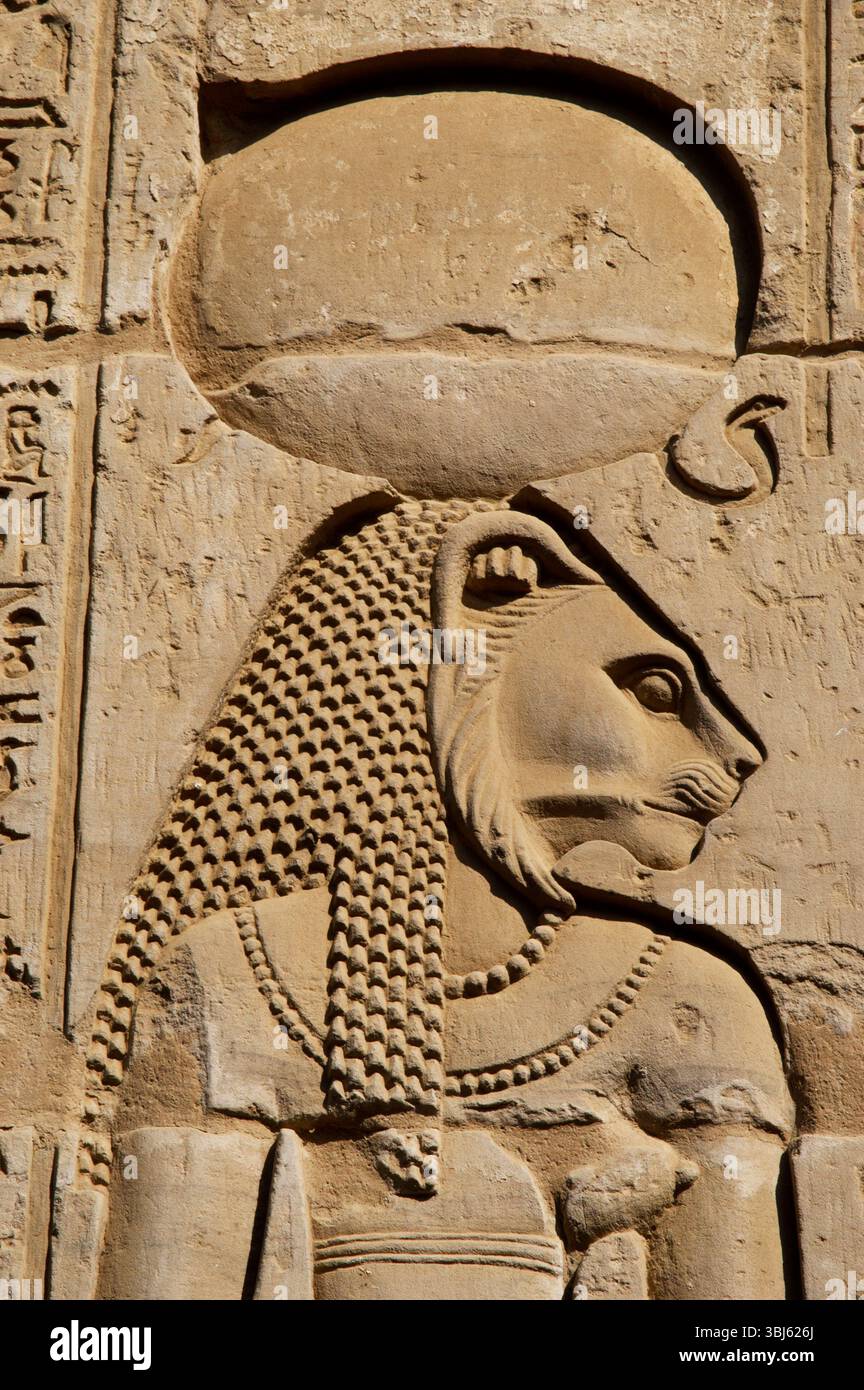 Relief of Sekhmet, the lion-headed goddess, Temple of Kom Ombo, Egypt ...
