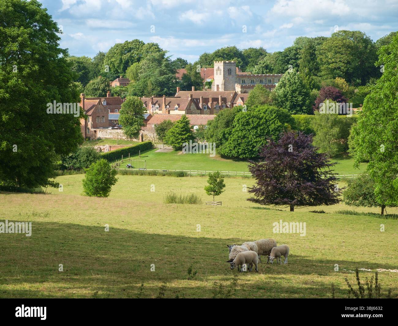 View of the Oxforshire village of Ewelme with grazing sheep Stock Photo