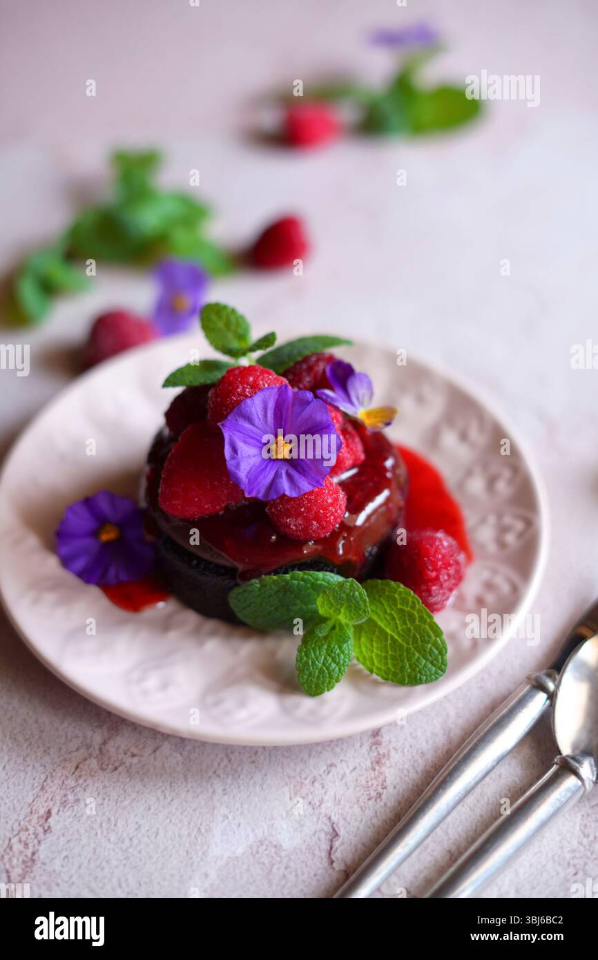 Chocolate and raspberry individual pudding dessert served with raspberry coulis. Stock Photo