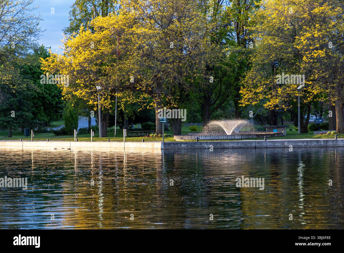 Kin Park Rideau Park with lighted fountains along Rideau River in Smiths Falls town in ...