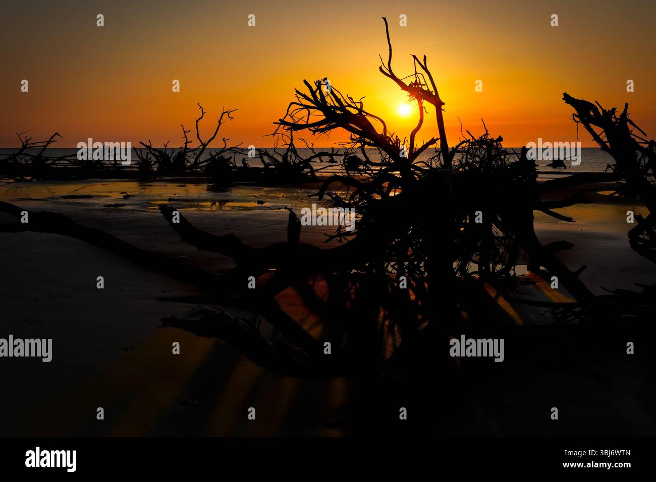 Sunrise over the Atlantic Ocean at Boneyard Beach on Little Huntin…