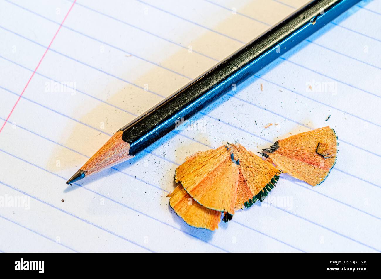 Sharpened pencil and shavings on a blank  notebook lined page Stock Photo