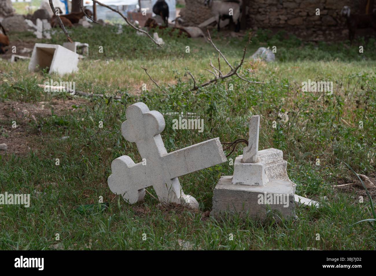 Stone cross fallen on grass in a cemetery, evoking themes of remembrance, loss, and the passage of time Stock Photo