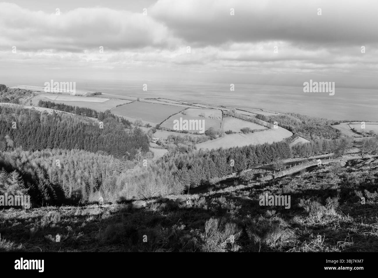 Porlock Ridge Porlock Common at the top of Porlock Hill in Exmoor Natioanl Park Stock ...