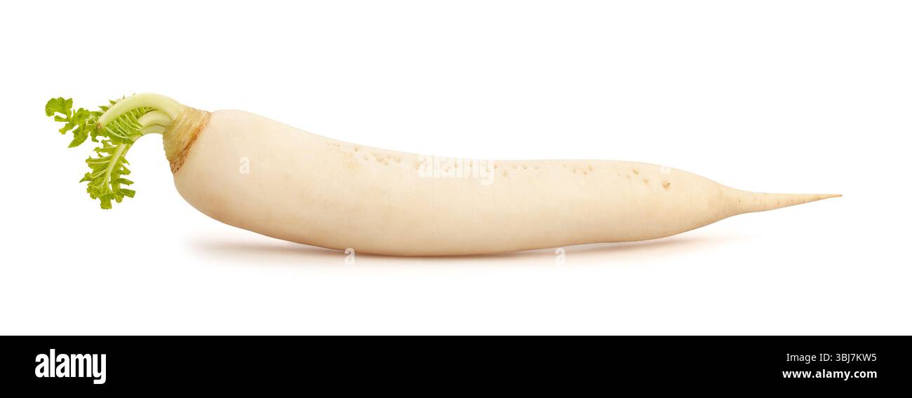 daikon radish path isolated on white Stock Photo