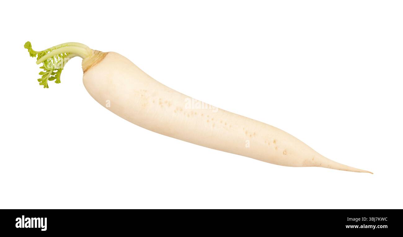 daikon radish path isolated on white Stock Photo