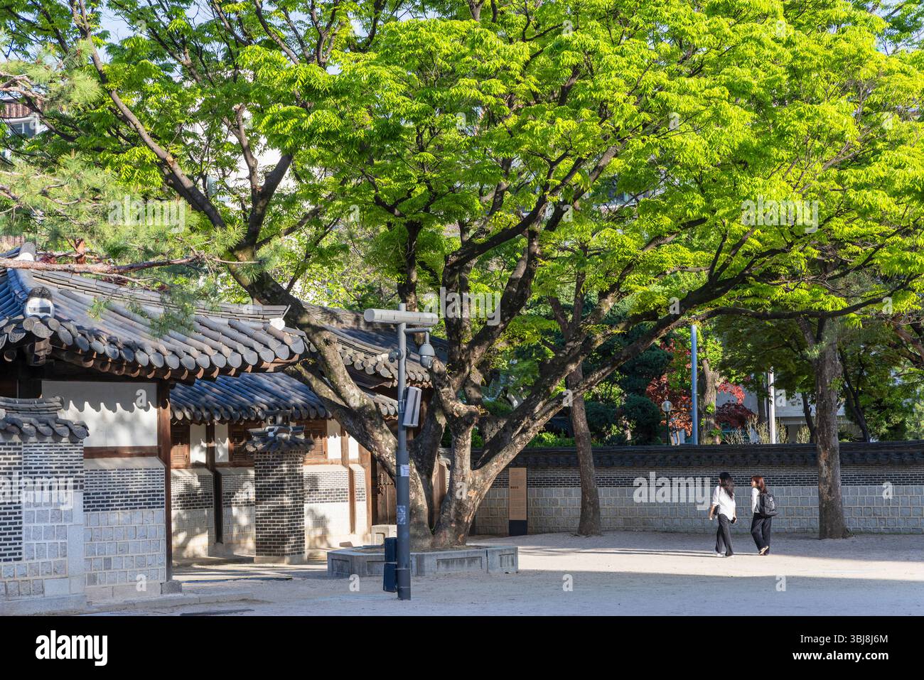 Unhyeongung Palace Seoul Seoul Metropolitan Area South Korea Stock unhyeongung-palace-seoul-seoul-metropolitan-area-south-korea-stock