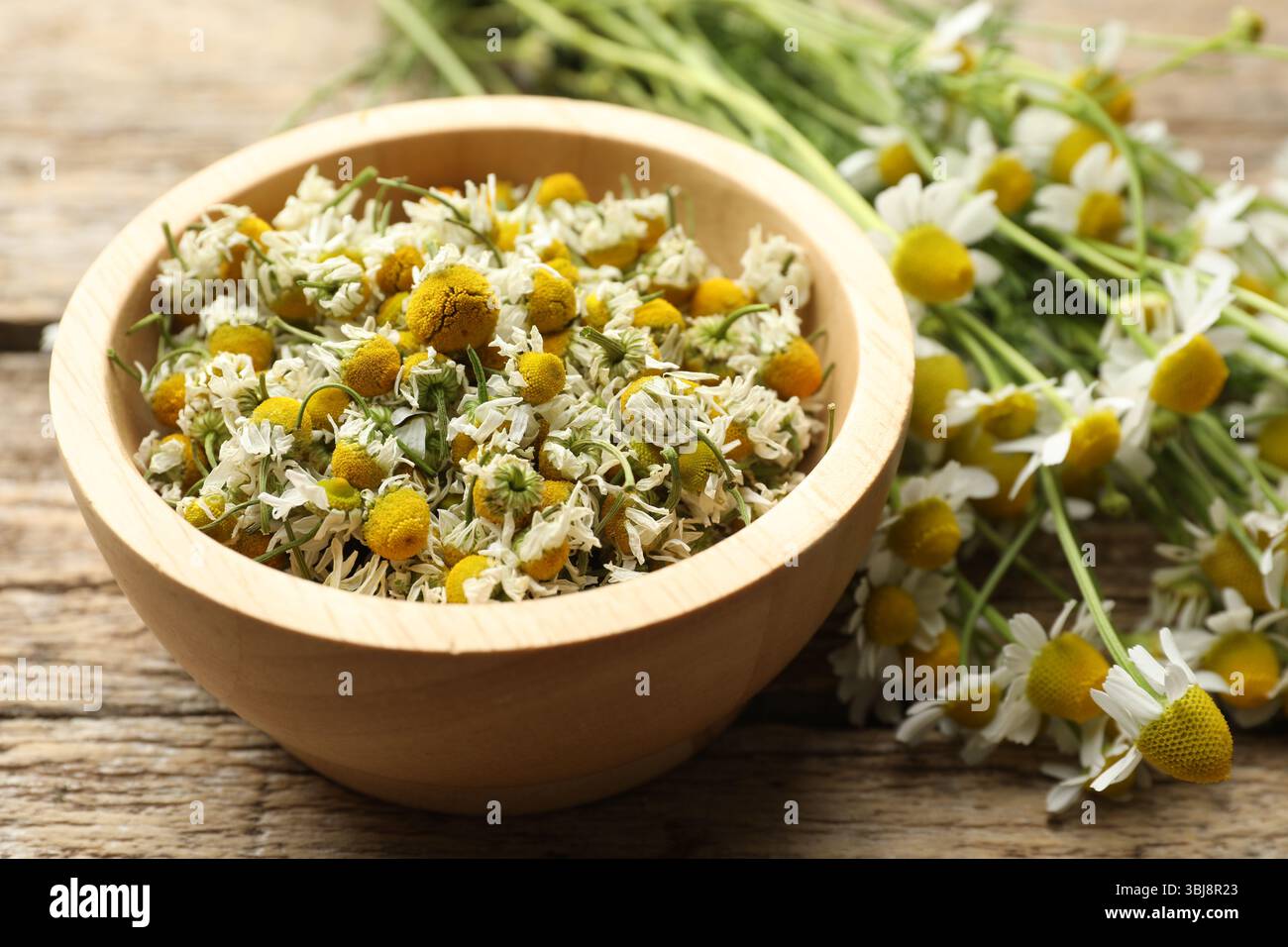 Dry chamomiles in bowl and fresh flowers on wooden table, closeup Stock Photo
