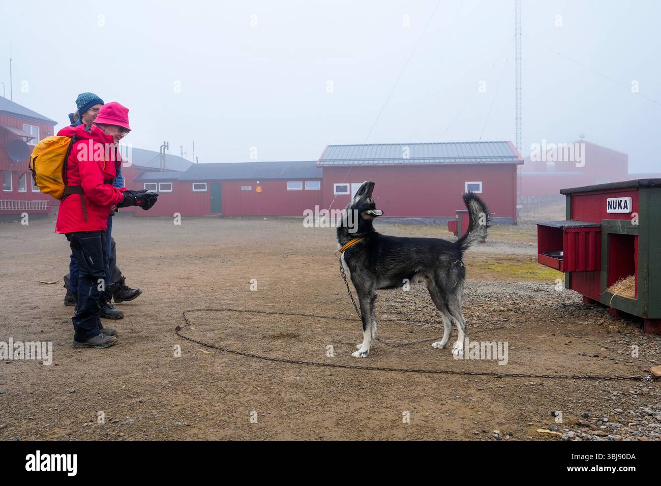 Bjørnøya 20250614. Queen Sonja greets one of the dogs on Bjørnøya ...