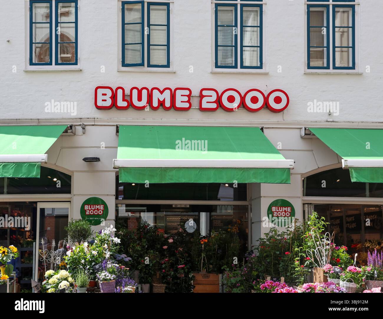 Blume 2000 hi-res stock photography and images - Alamy