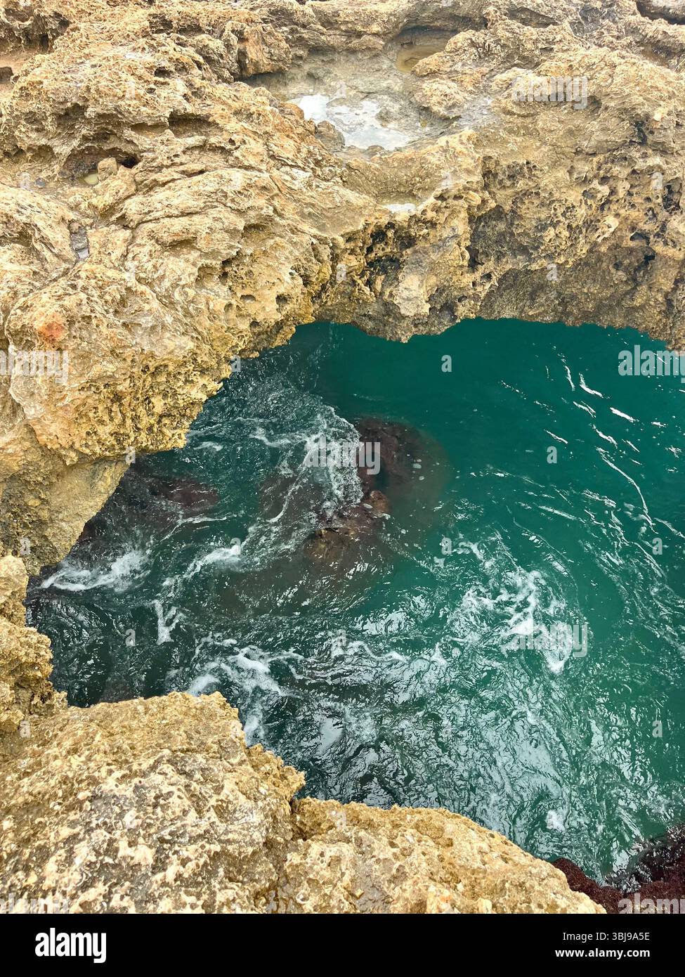 The magical and fairytale Mermaid Caves on the West Side of the island of O'ahu, Hawai'i, USA. - Smartphone Captured Stock Image
