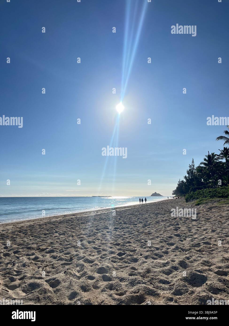 Waves washing ashire the sandy, picturesque and peaceful scenery of the beautiful Kailua Beach on the island of O'ahu, Hawai'i, USA. - Smartphone Captured Stock Image