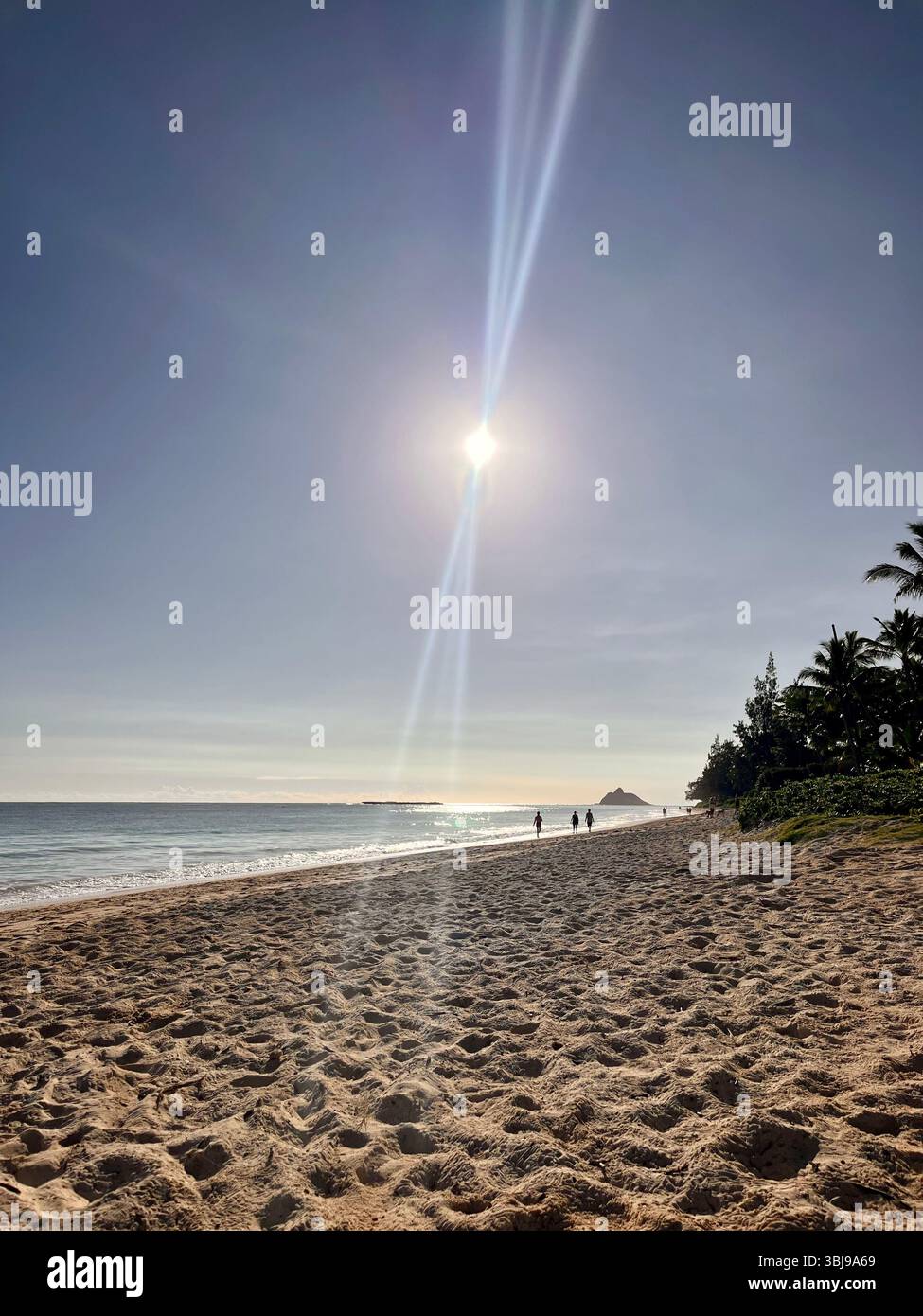 Waves washing ashire the sandy, picturesque and peaceful scenery of the beautiful Kailua Beach on the island of O'ahu, Hawai'i, USA. - Smartphone Captured Stock Image