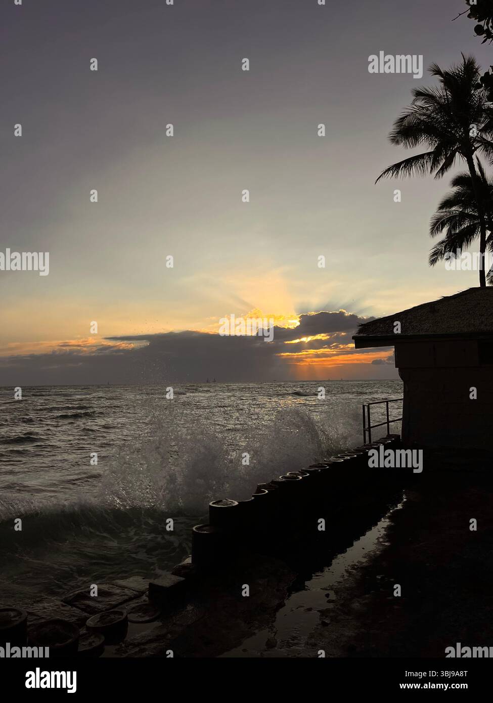 The golden sunset over the Hawaiian ocean with palm tree shadows off Leahi Beach Park on the island of O'ahu, Hawai'i, USA with waves crashing. - Smartphone Captured Stock Image