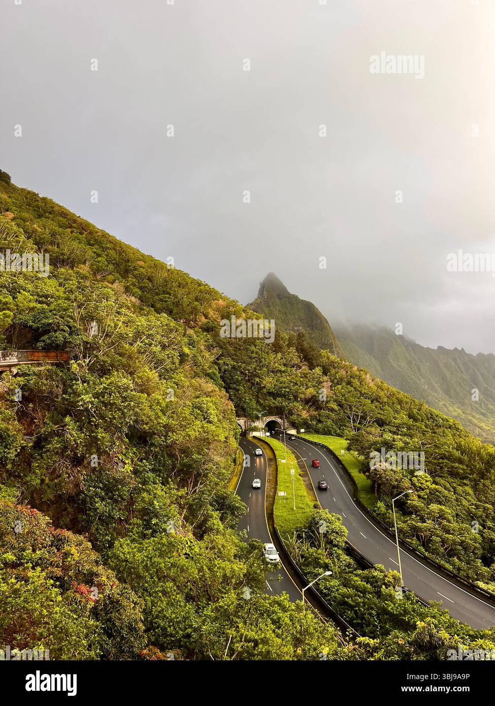 The beautiful lush, green natural scenery along a hike up Pali Puka mountain on the island of O'ahu, Hawai'i, United States of America. - Smartphone Captured Stock Image