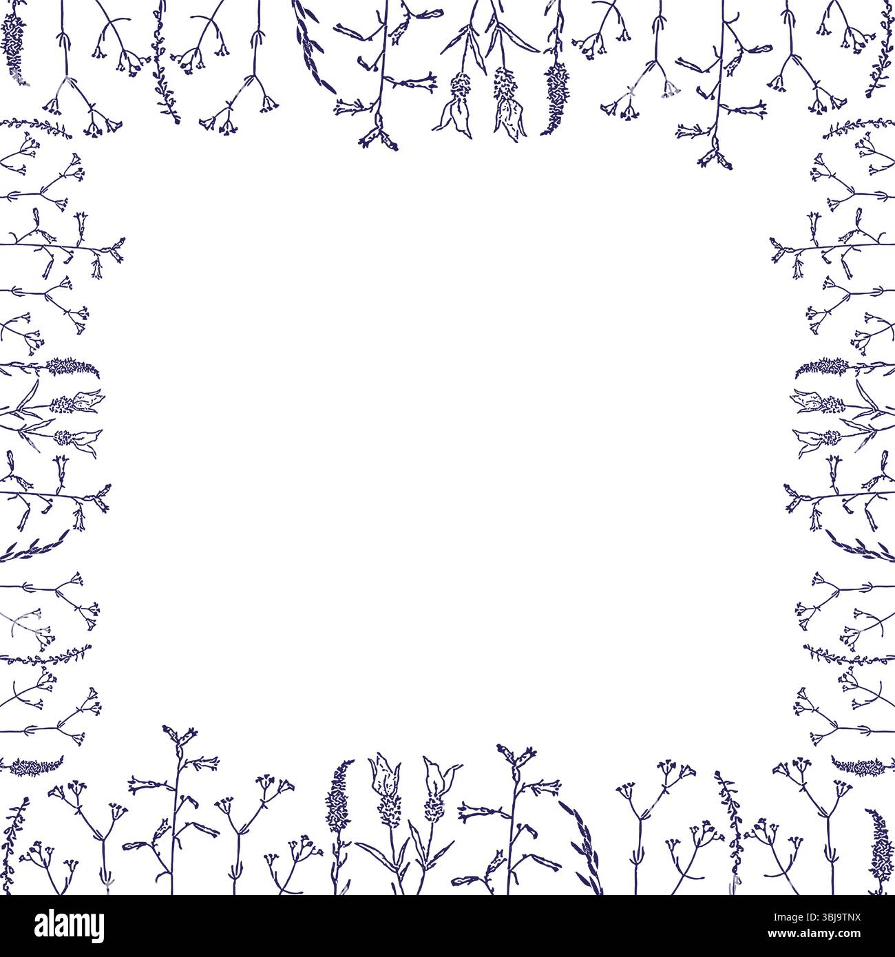 Flourish frame with monochrome elements. Trendy botany graphic template. Grass empty frame box Stock Vector