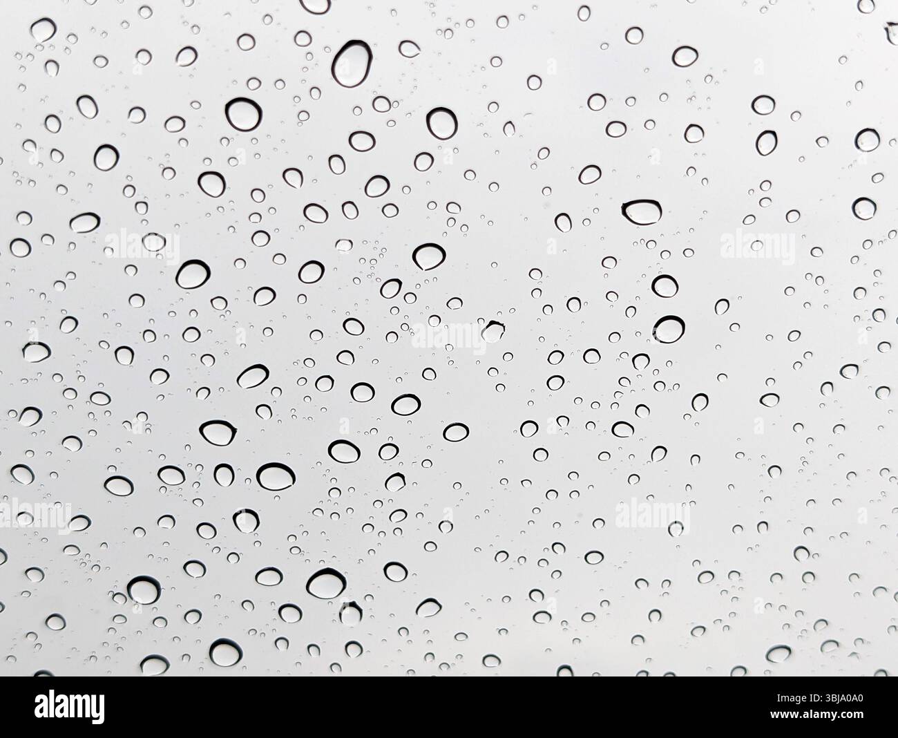 Rain droplets on a glass background Stock Photo
