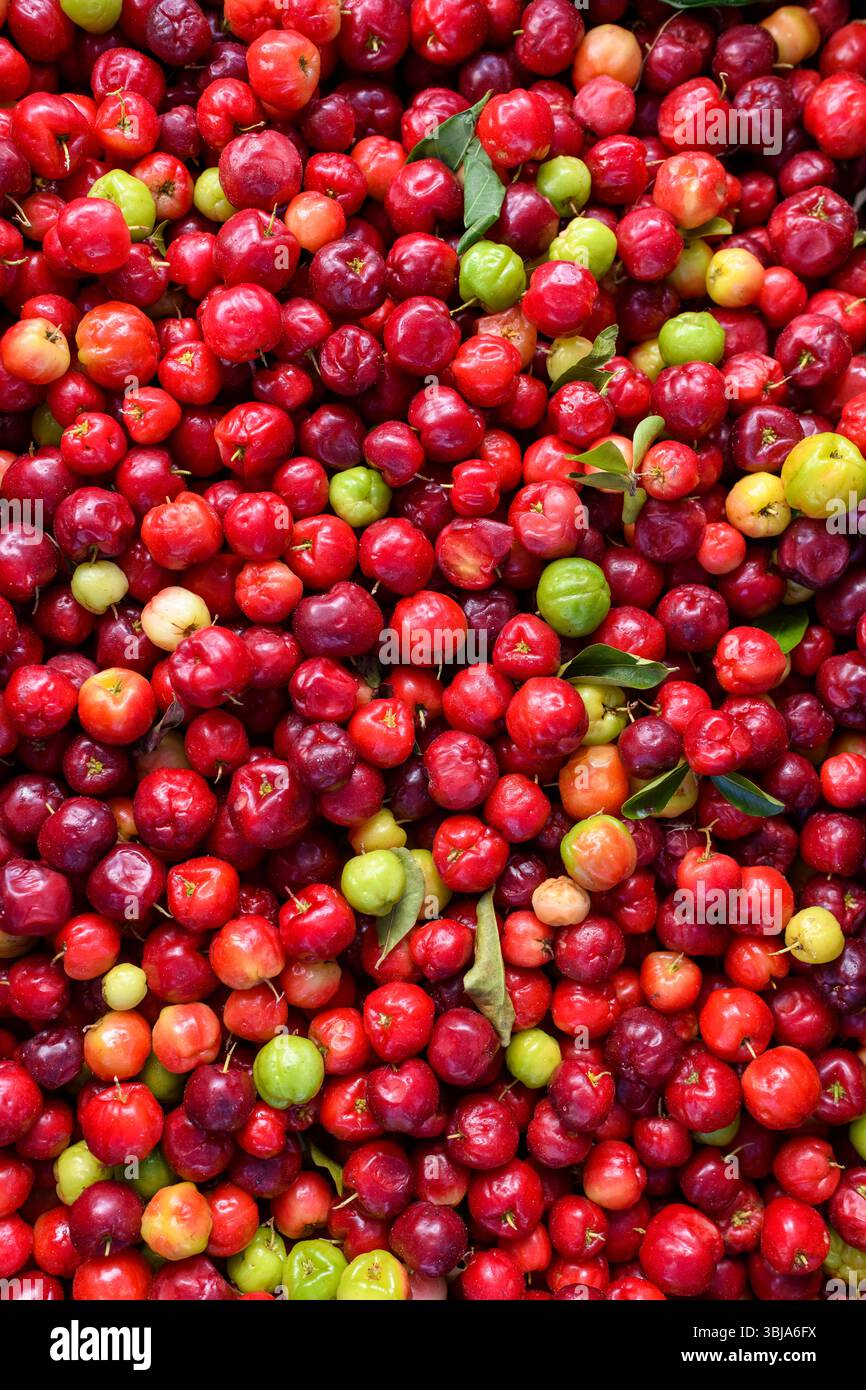 Fresh Acerola Cherries Displayed At A Street Market Stock Photo Alamy fresh-acerola-cherries-displayed-at-a-street-market-stock-photo-alamy