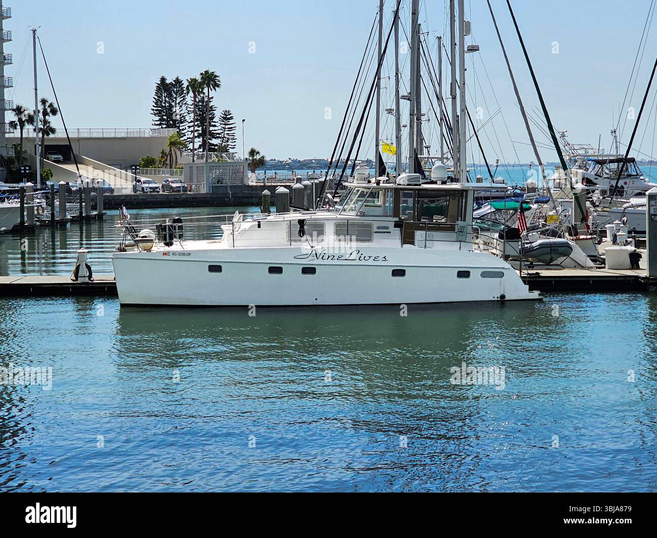 Nine Lives, an Endeavour Trawlercat 44 power catamaran is docked at the marina in Clearwater, Florida. The boat is following Americas Great Loop, a ci - Smartphone Captured Stock Image