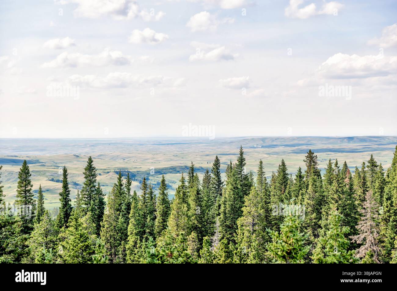 Landscape scenery in the Elkwater Lake and Cypress Hills region of Southern Alberta Stock Photo
