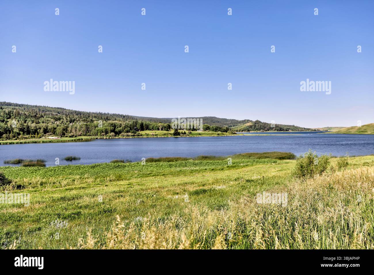 Landscape scenery in the Elkwater Lake and Cypress Hills region of Southern Alberta Stock Photo