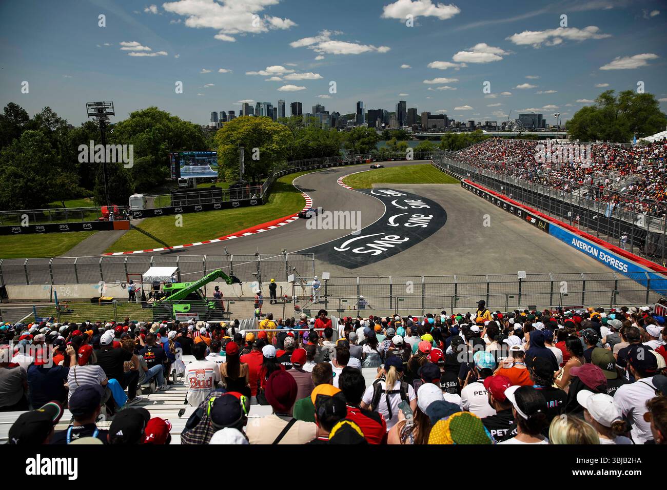 14th June 2025: Montreal, Canada: spectators, fans of 43 COLAPINTO ...