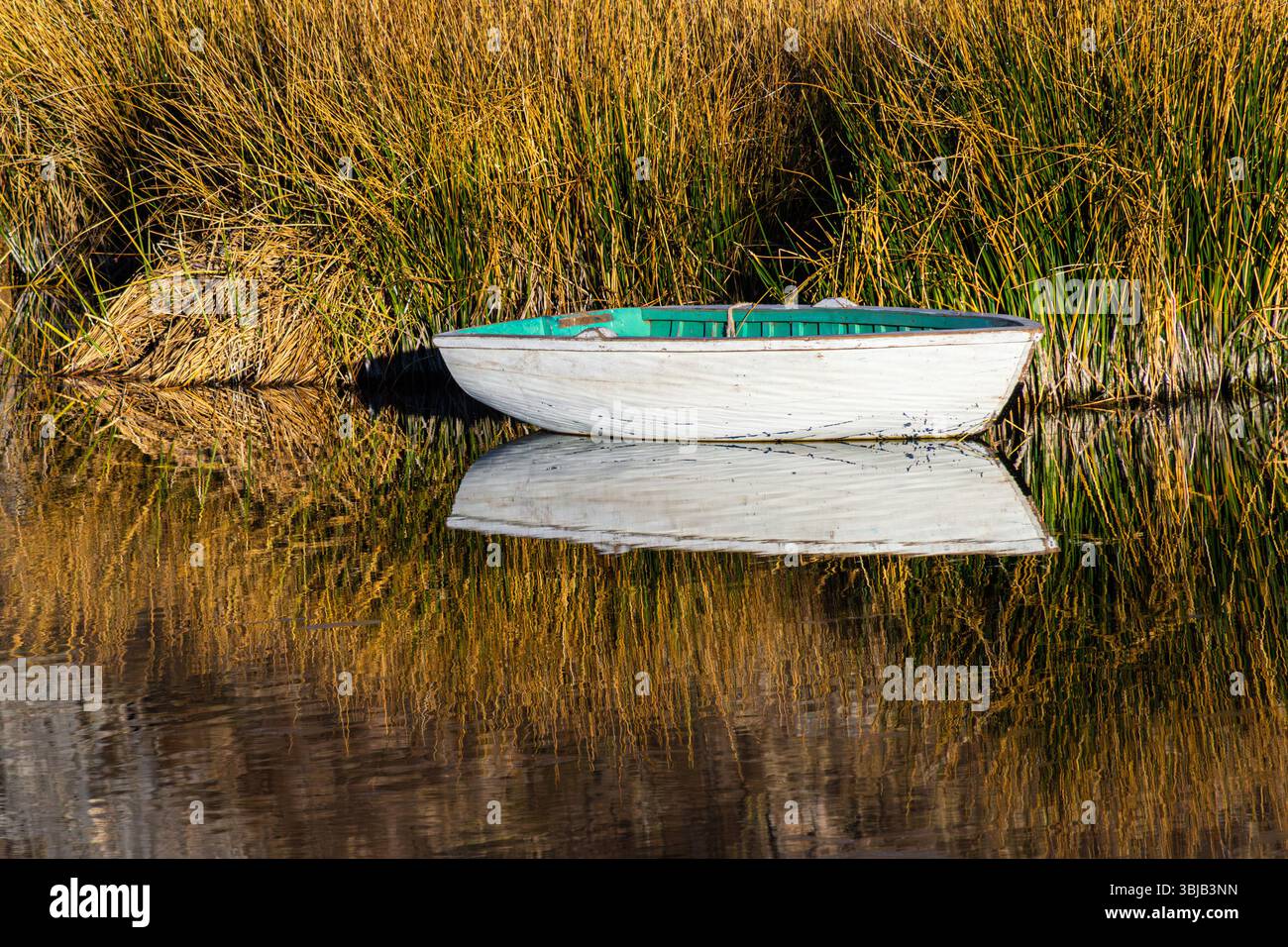 Small boat anchored next to the totora reeds on Lake Titicaca, Peru, you can see the reflection in the waters Stock Photo