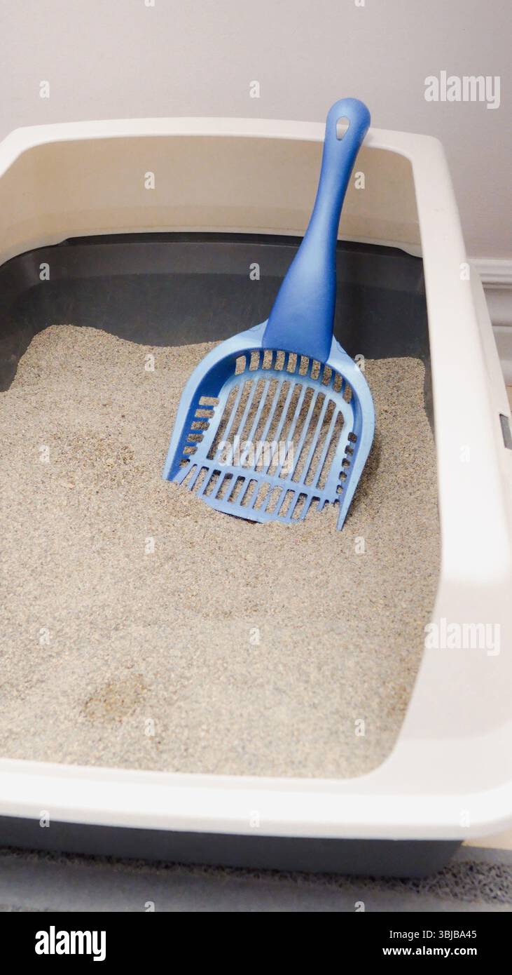 Cat Litter Box with Scoop Maintaining Pet Hygiene and Cleanliness for ...