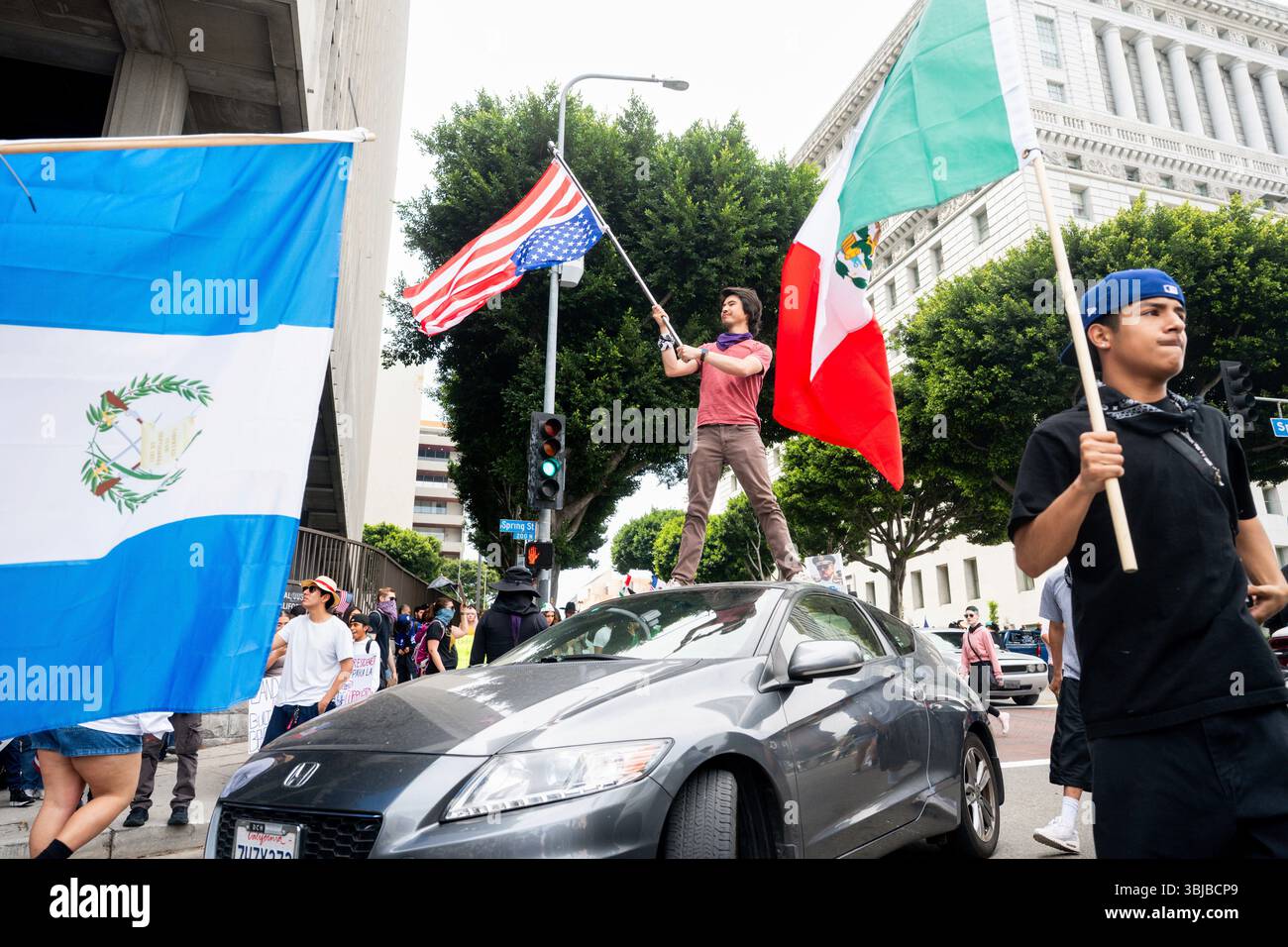 Demonstrators wave flags during a