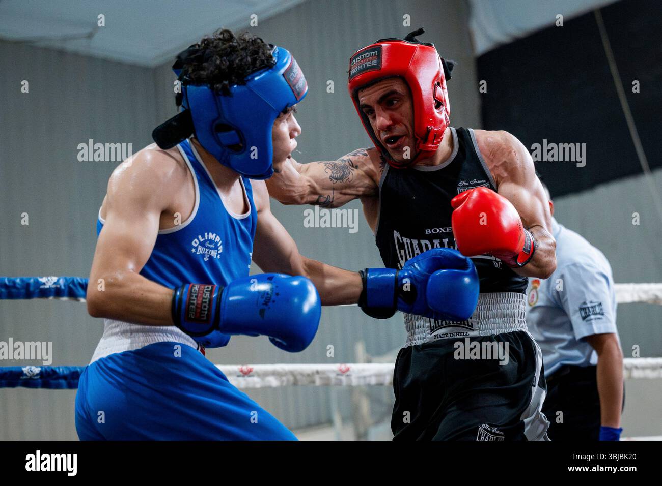 Zayed VS Alejandro Cancedo during the boxing fight in 'Villalkor boxing ...