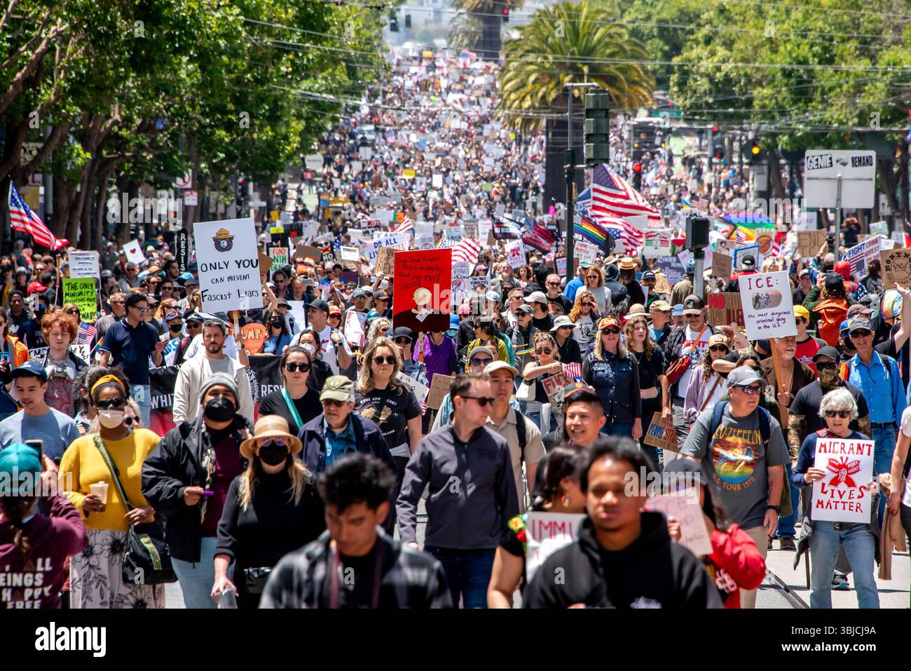 San Francisco, USA. 14th June 2025. A massive crowd of protesters fill Market Street, shown into the distance, carrying signs including those reading, 'Only you can prevent fascist liars' with a picture of Smokey Bear, 'ICE: the most dangerous criminal gang in the U.S.,' and 'Migrant Lives Matter.' Credit: Shelly Rivoli/Alamy Live News - Stock Image