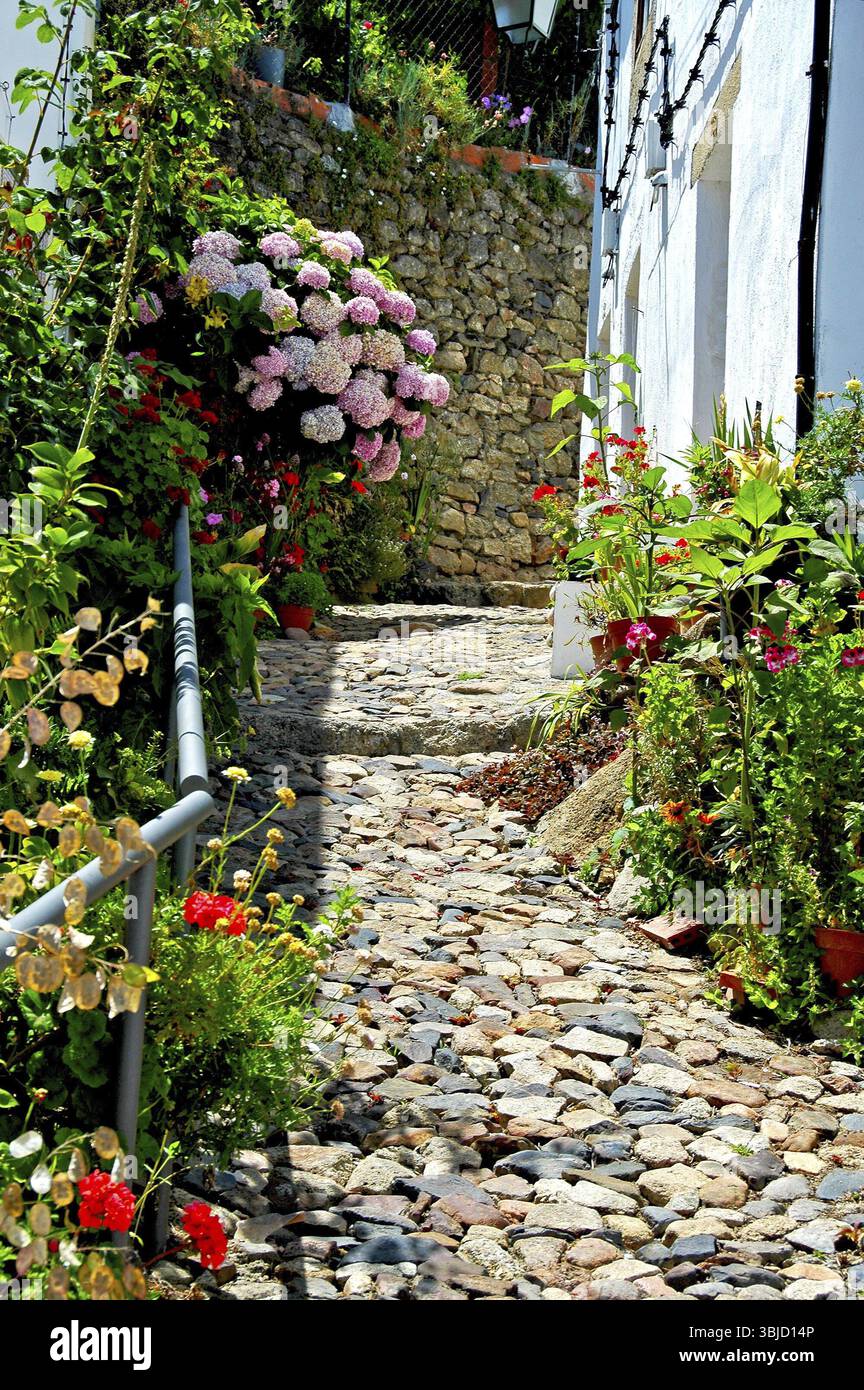 Castelo de Vide lies between olive groves and old walnut trees in the cool mountain region of Sao Mamede in Portugal. Roses bloom, fountains babble an Stock Photo
