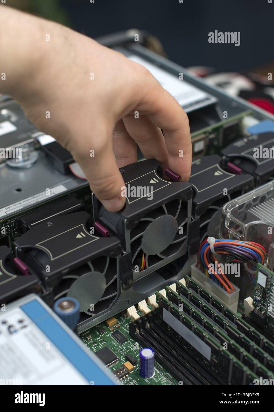 Computer technician installing cooler fan into motherboard Stock Photo ...