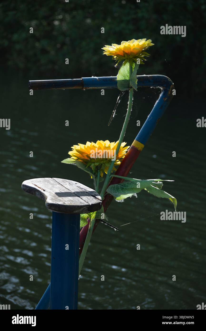 Still life - boat tiller and sunflower on a houseboat moored on the Thames by Iffley Lock. Viewed from the Thames Path.  This walkway is one of my fav Stock Photo