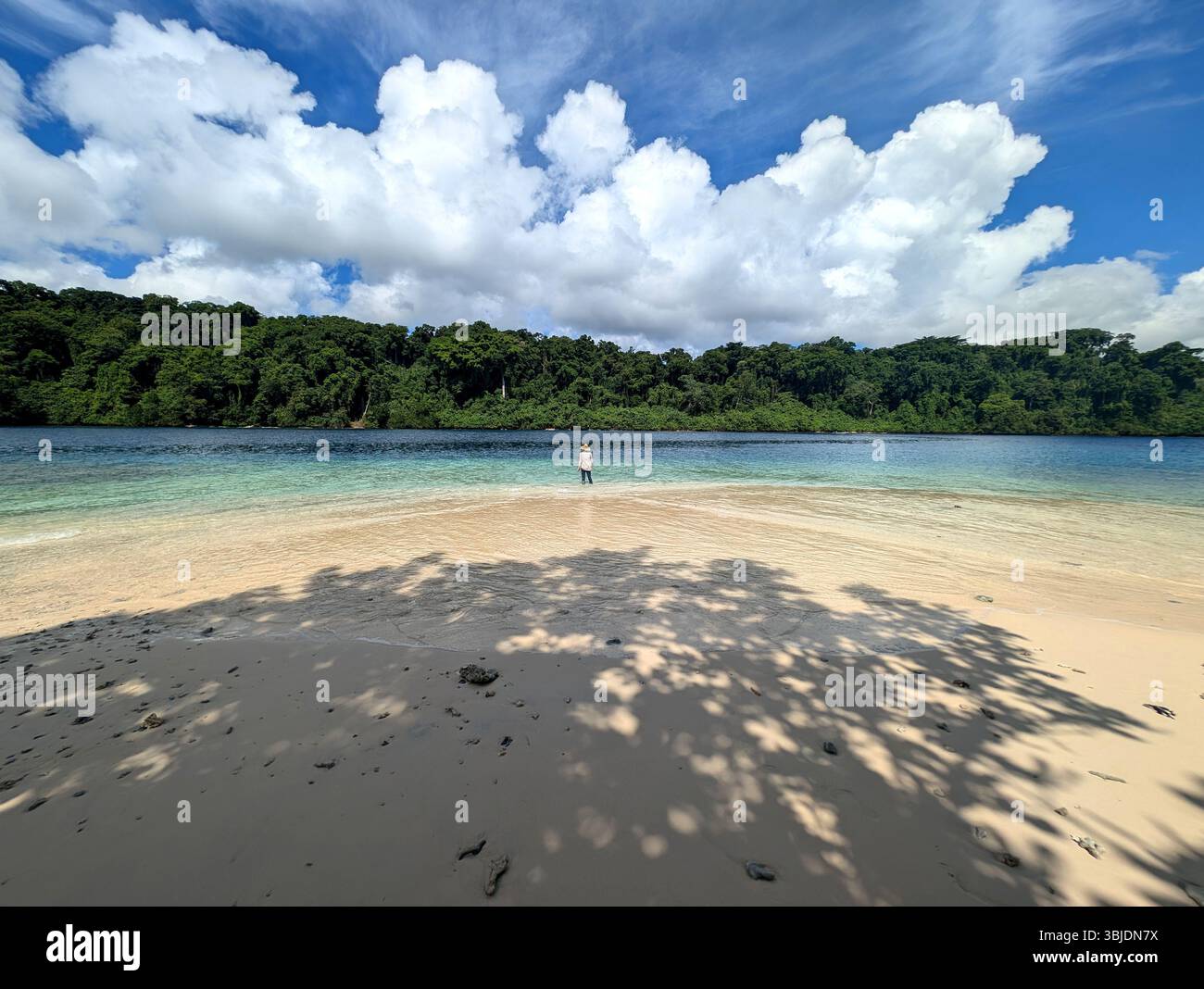 Woman at Sarumana Island, Tetepare Island, Western Province, Solomon Islands, No MR - Smartphone Captured Stock Image