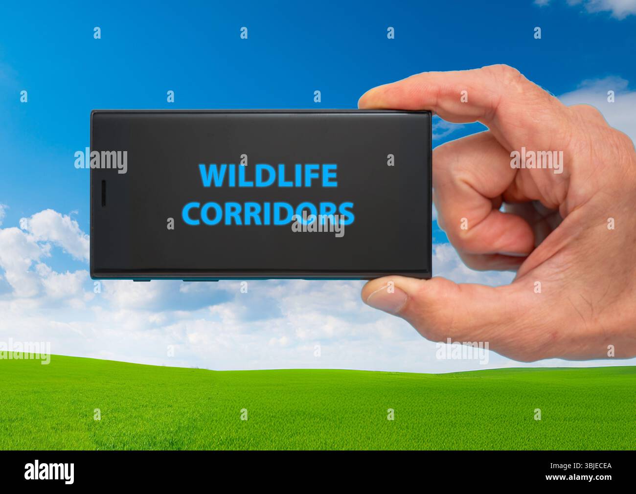 Wildlife Corridors  Connected habitats that allow wildlife to move between isolated areas. Stock Photo