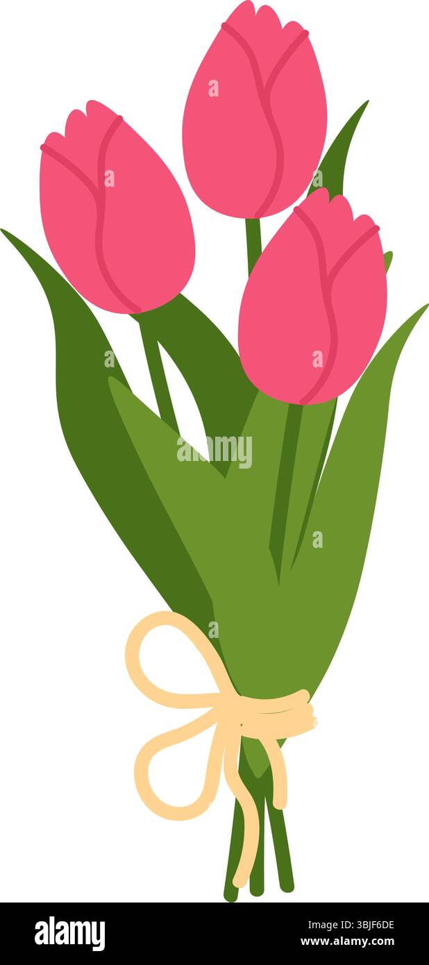 Bouquet of pink tulips tied with a ribbon. Floral illustration in a ...