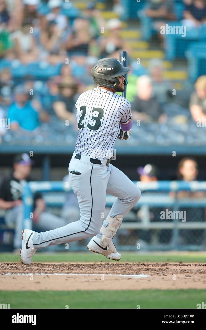 Winston-Salem Dash Arxy Hernandez (23) at bat during a game against the ...