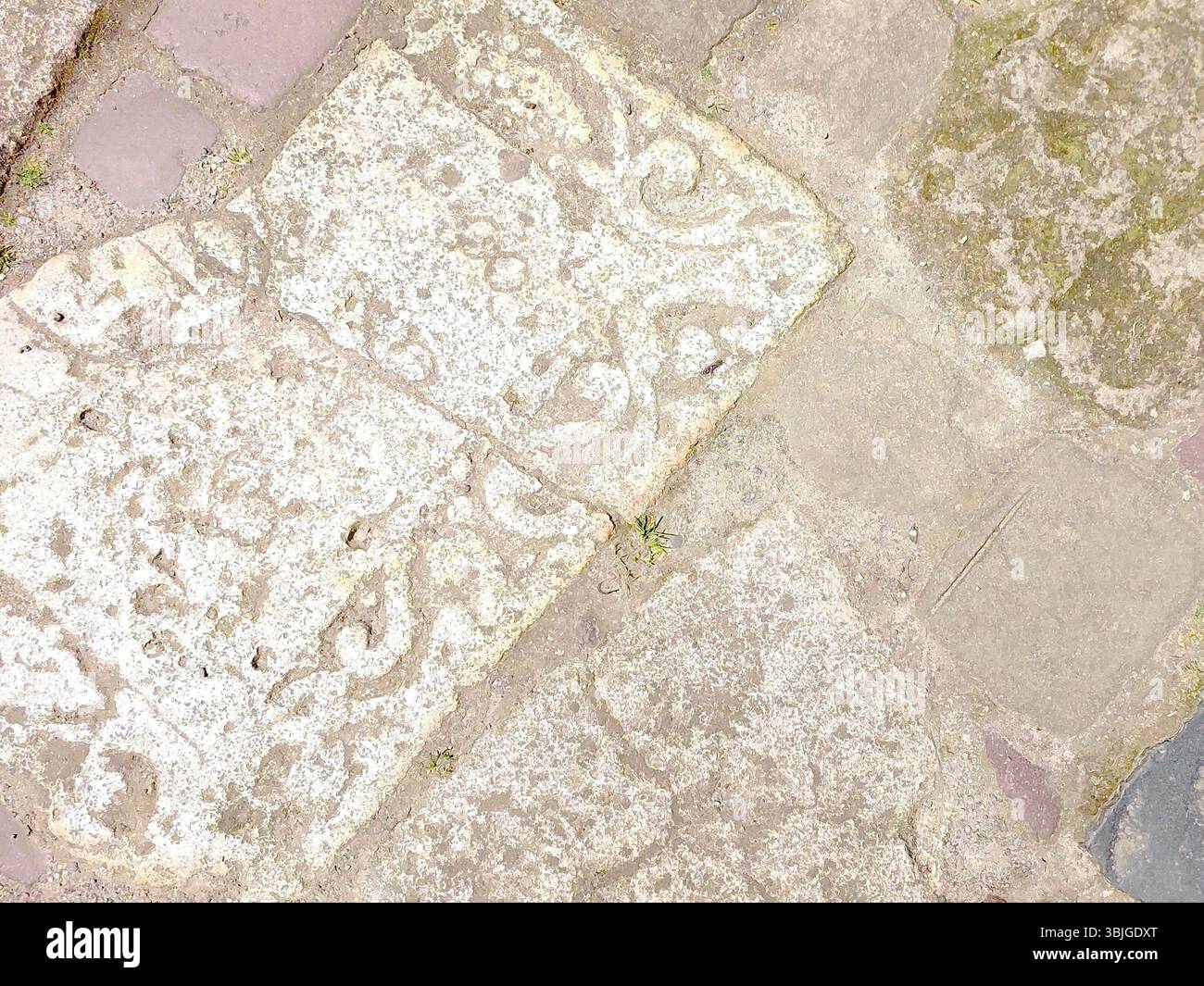 Visitors admire intricate floor hi-res stock photography and images - Alamy