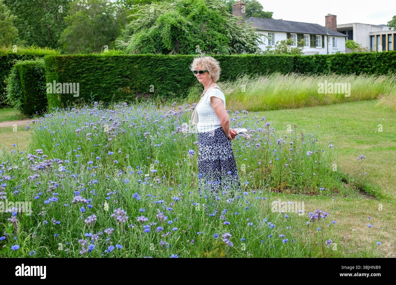 Cambridge UK June 2025 - Female visitor enjoying The Cambridge University Botanic Garden Stock Photo