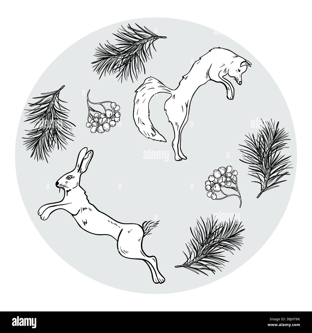 Fox and hare in circle clipart with pine branches and rowan berries black and white line art illustration. Hand drawn forest animals, winter Stock Vector