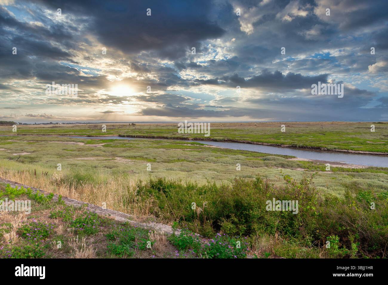 A field with a river running through it and a cloudy sky. The sky is overcast and the sun is setting Stock Photo