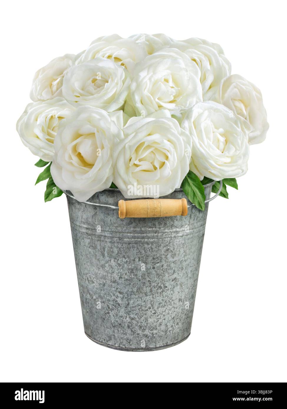 Roses isolated on white background Stock Photo