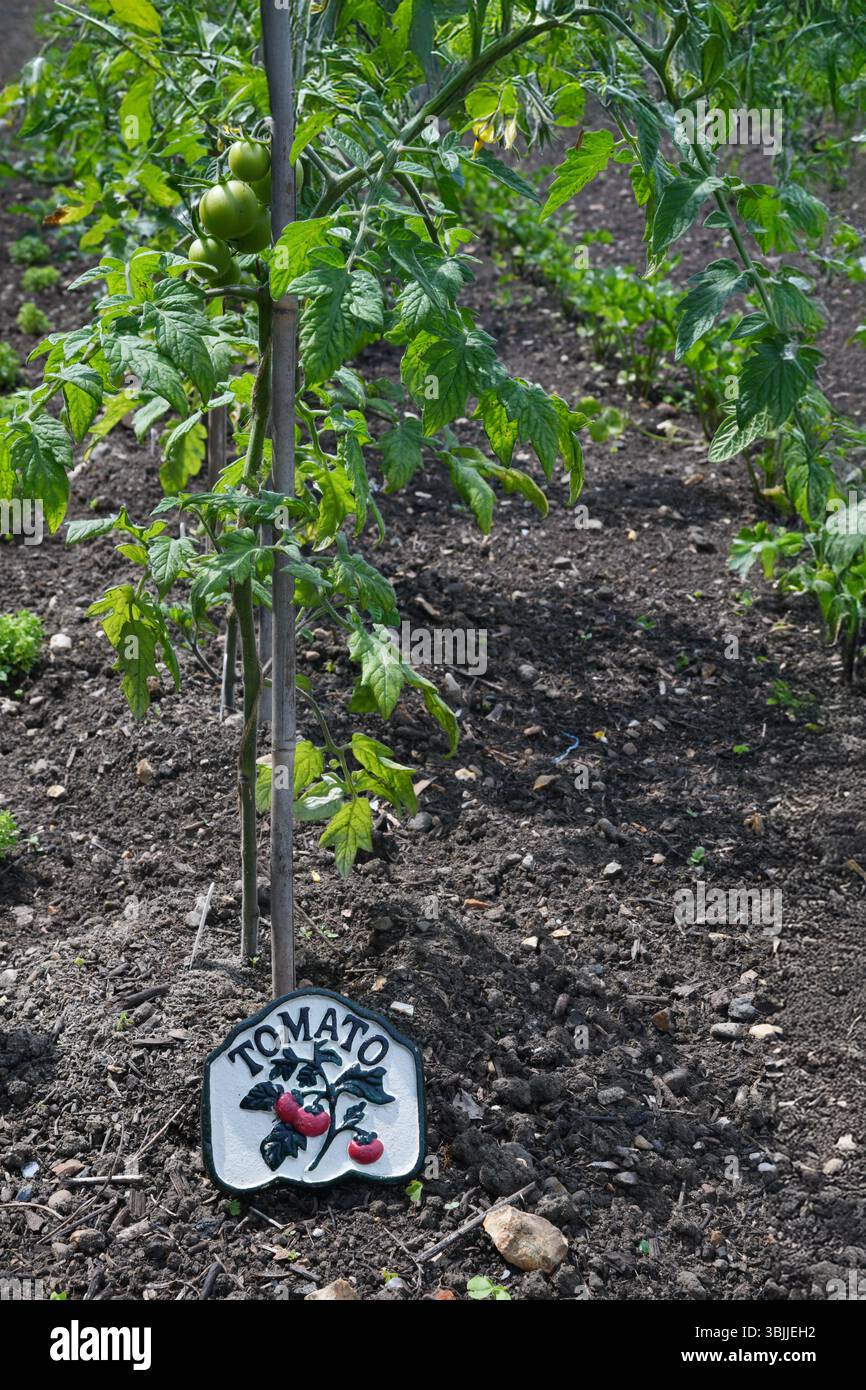 Labelled rows of vegetables hi-res stock photography and images - Alamy