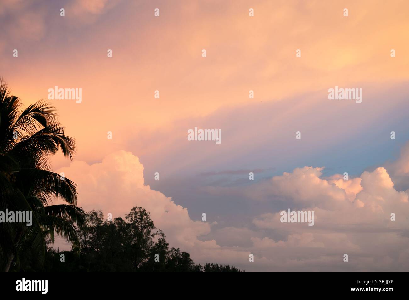 Tropical palm trees silhouetted against a colorful sunset sky Stock ...