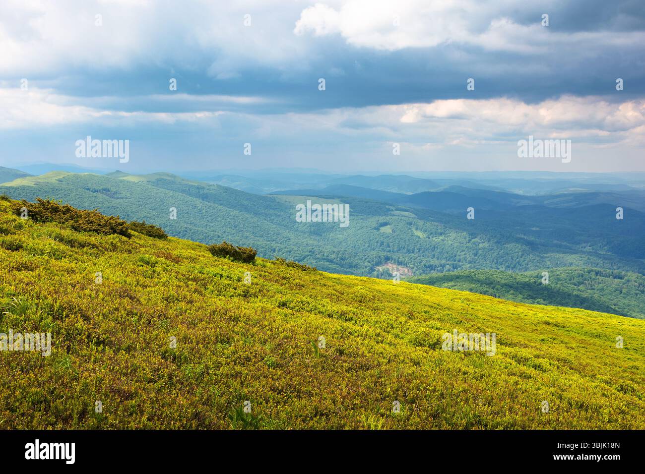beautiful view in to the valley from the mountain top. scenic landscape with wide meadow in highlands of ukraine. sunny weather in summer with cloudy Stock Photo