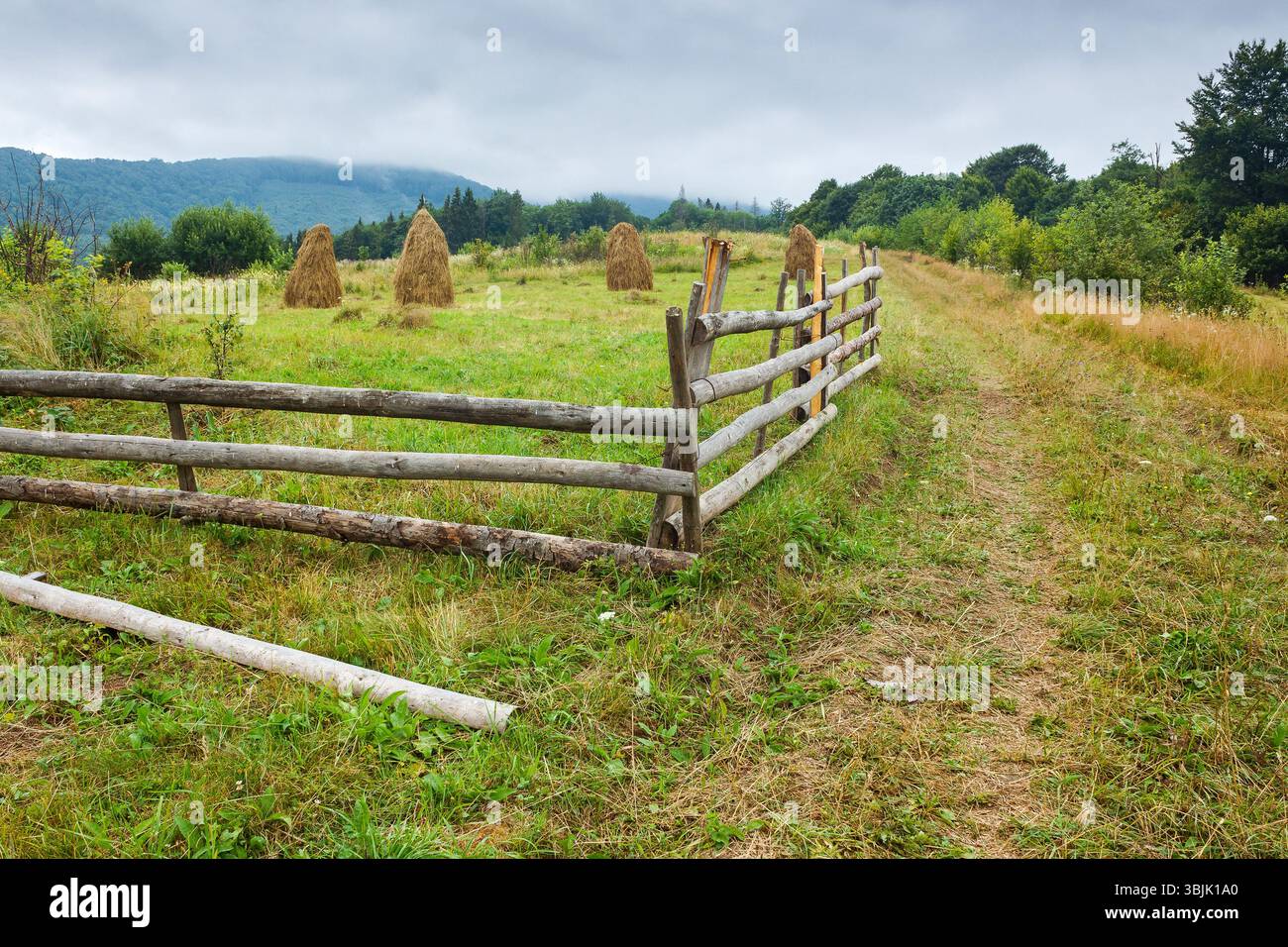 rural field behind the wooden fence. countryside landscape in mountains on a rainy day. organic haystack on the meadow Stock Photo