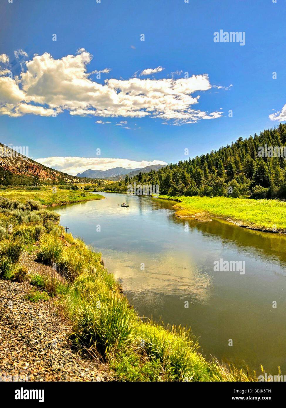 Float boat drifting through a peaceful river valley surrounded by pine-covered hills in the Colorado wilderness on a sunny day. - Smartphone Captured Stock Image