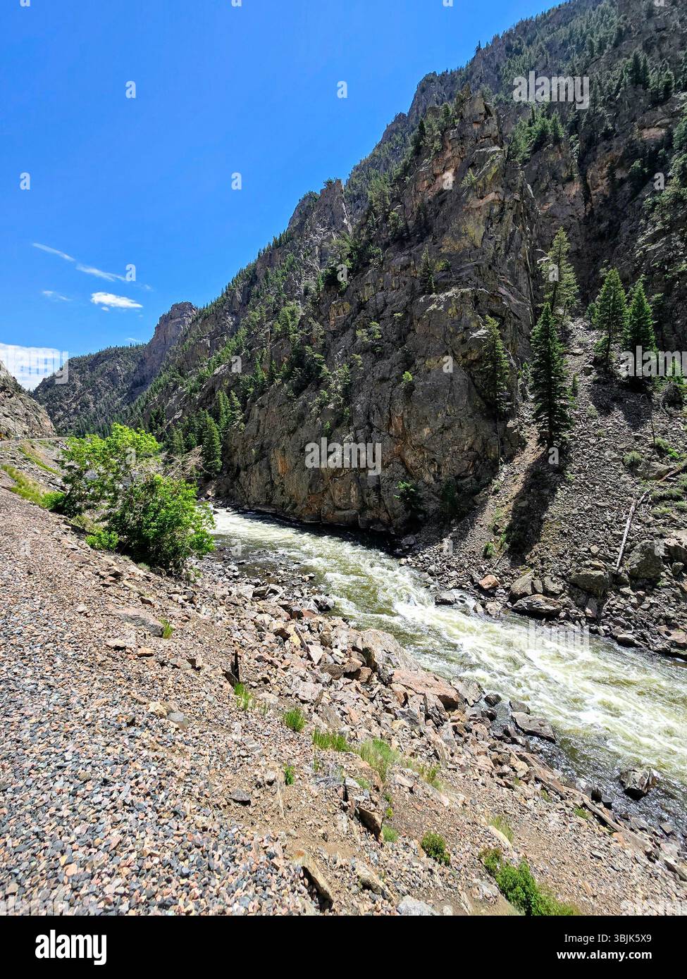 Lush riverbank lined with green trees and foothills in the Colorado countryside on a bright summer day with clear skies. - Smartphone Captured Stock Image